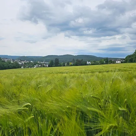 Moderne Mit Balkon, In Waldnaehe アルンスベルク